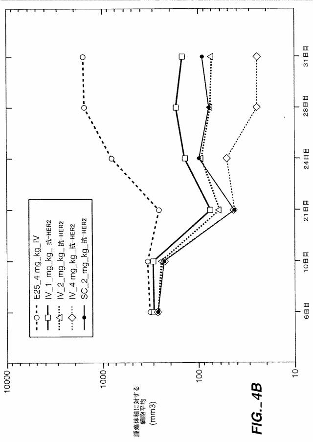 5818545-抗ＥｒｂＢ２抗体を用いた治療のためのドーセージ 図000012