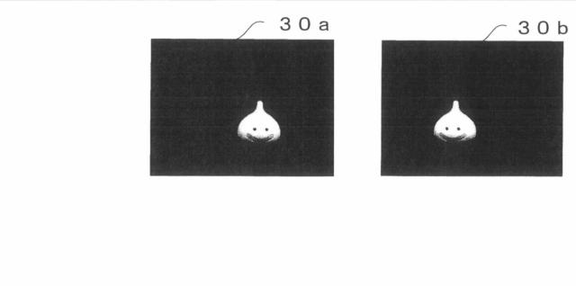 5834712-画像生成装置、画像生成方法、画像生成装置用プログラム 図000012