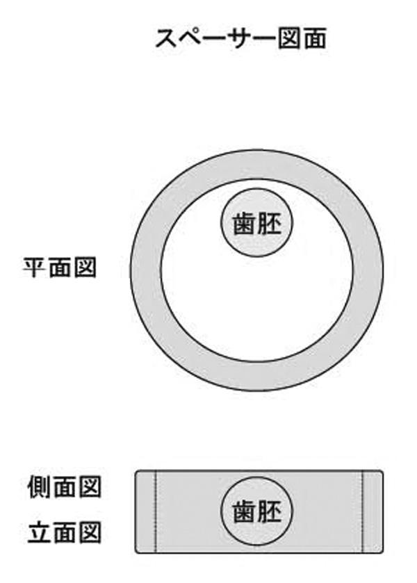 5868844-再生歯ユニットの製造方法 図000012