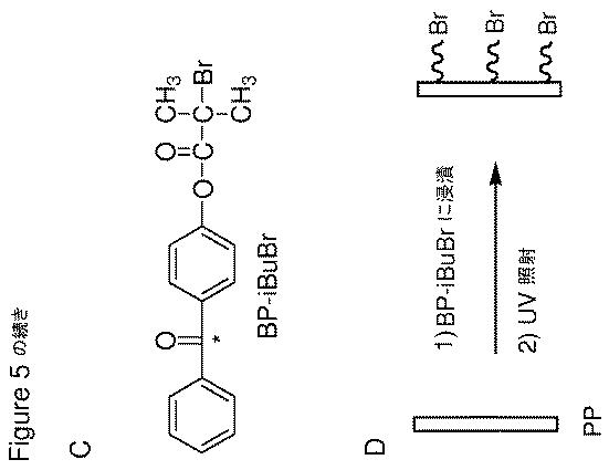 5872465-表面開始原子移動ラジカル重合により合成されるメトキシエチルアクリレート単位を含むポリマーコーティング 図000012