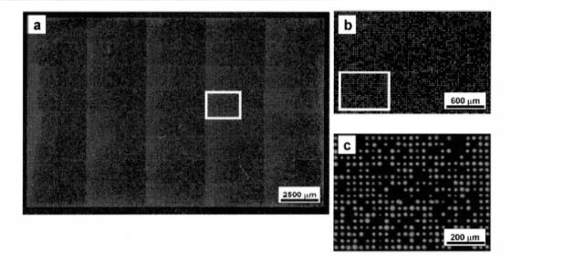 5928937-細胞解析装置及び細胞解析方法 図000012