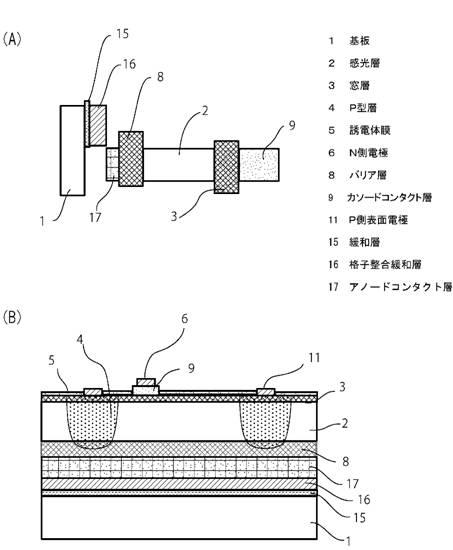 5942068-化合物半導体受光素子アレイ 図000012