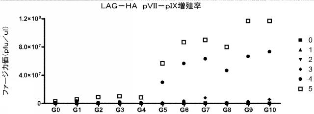 5955773-改善された細菌膜タンパク質分泌 図000012