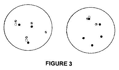 5976550-蛍光ｉｎｓｉｔｕハイブリダイゼーションによる癌抑制遺伝子の欠失を検出するための方法、プローブセットおよびキット 図000012