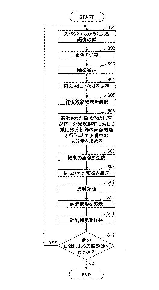 6001245-皮膚評価装置、皮膚評価方法、及び皮膚評価プログラム 図000012