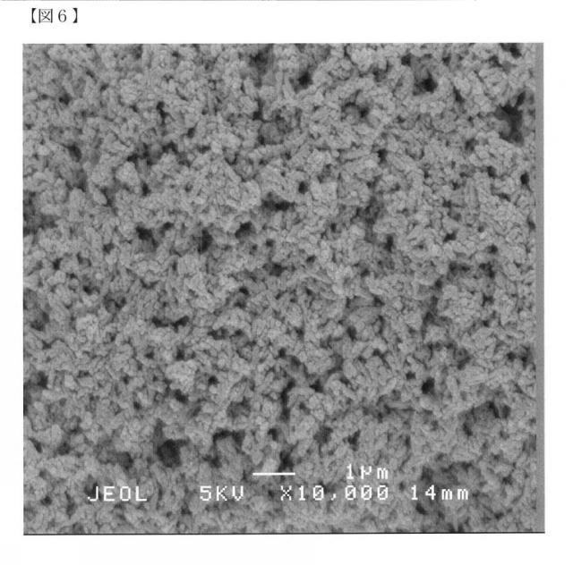 6072967-リン酸カルシウム焼結体粒子の製造方法 図000012