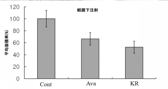 6099209-黄斑変性の予防または治療用の医薬組成物 図000012