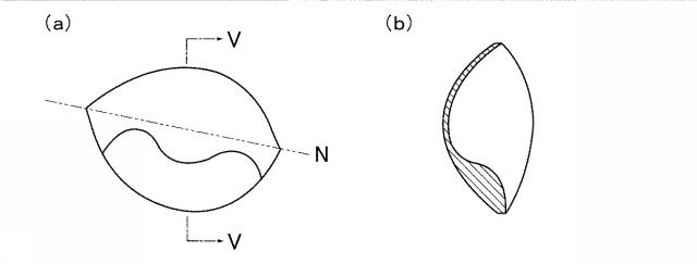 6164443-カップ部を有する衣類 図000012