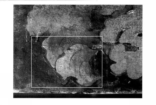 6189902-文化財の表面から白化した合成樹脂を除去する方法 図000012