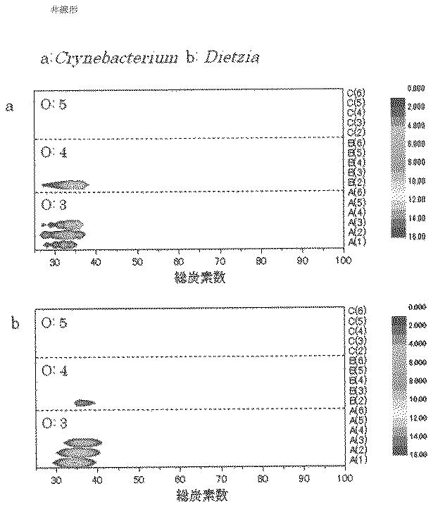 6219761-ミコール酸分析方法及び装置 図000012