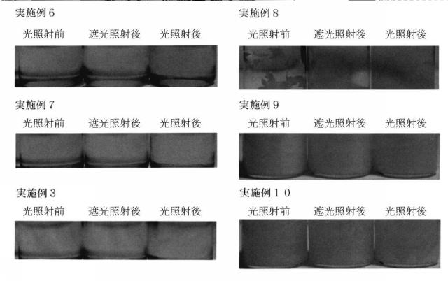 6245850-外用組成物 図000012