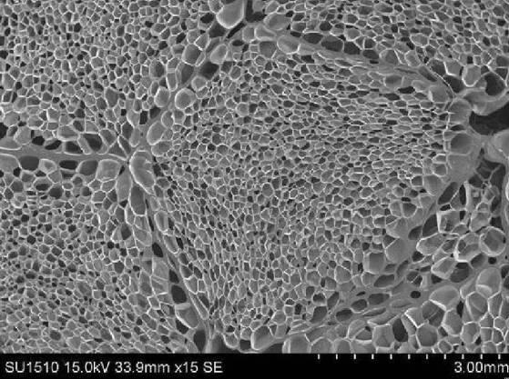 6253839-エステル系エラストマー発泡成形体、その用途及びエステル系エラストマー発泡粒子 図000012