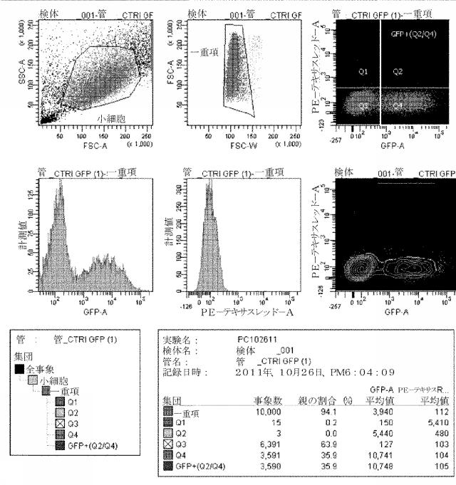 6259766-フラタキシンレベルを増加させる方法および生成物ならびにその使用 図000012