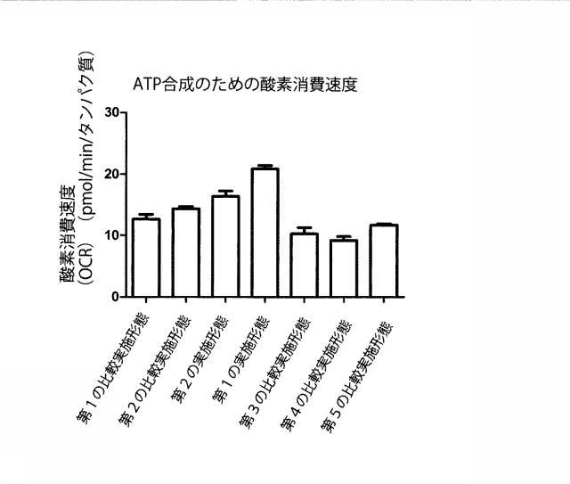 6329234-ミトコンドリアを改善する方法および幹細胞の細胞分裂を促進する方法 図000012