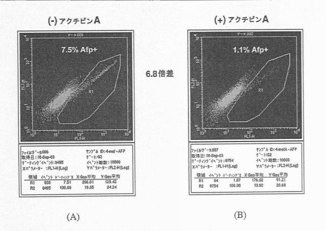 6356021-胚体内胚葉 図000012