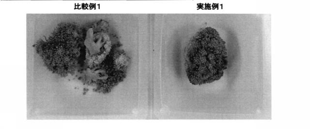 6377764-スルフォラファン含有量が増大されたブロッコリを生成する方法及びこの方法で生成したブロッコリの利用方法 図000012