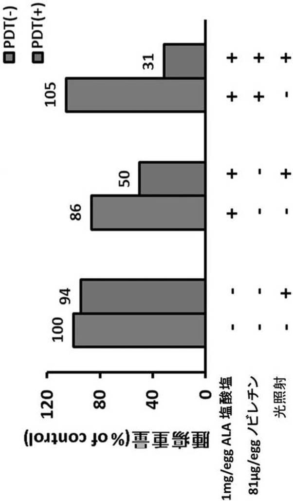 6417477-ＡＬＡ−ＰＤＴ又はＡＬＡ−ＰＤＤにおける光線力学的効果の増強剤 図000012