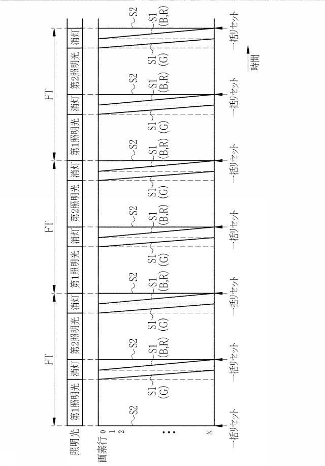 6444450-内視鏡システム、内視鏡システムのプロセッサ装置、及び内視鏡システムの作動方法 図000012