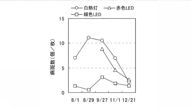 6541231-イチゴの休眠抑制方法 図000012