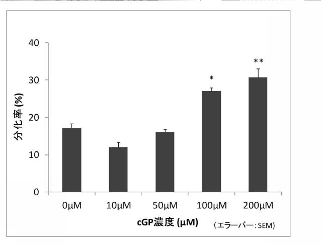 6598412-認知機能改善用食品 図000012