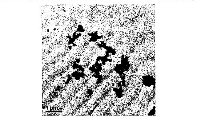 6651489-ナノ粒子状の形態における生物学的に活性な化合物の調製のための方法 図000012