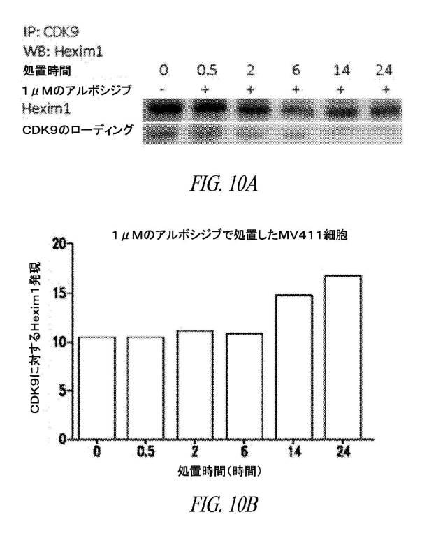 6689841-スーパーエンハンサー領域において転写制御を標的とする方法 図000012