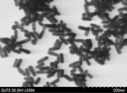 6716632-パラジウム被覆異方性金ナノ粒子を含む被験物質を検出するための組成物及びその用途 図000012