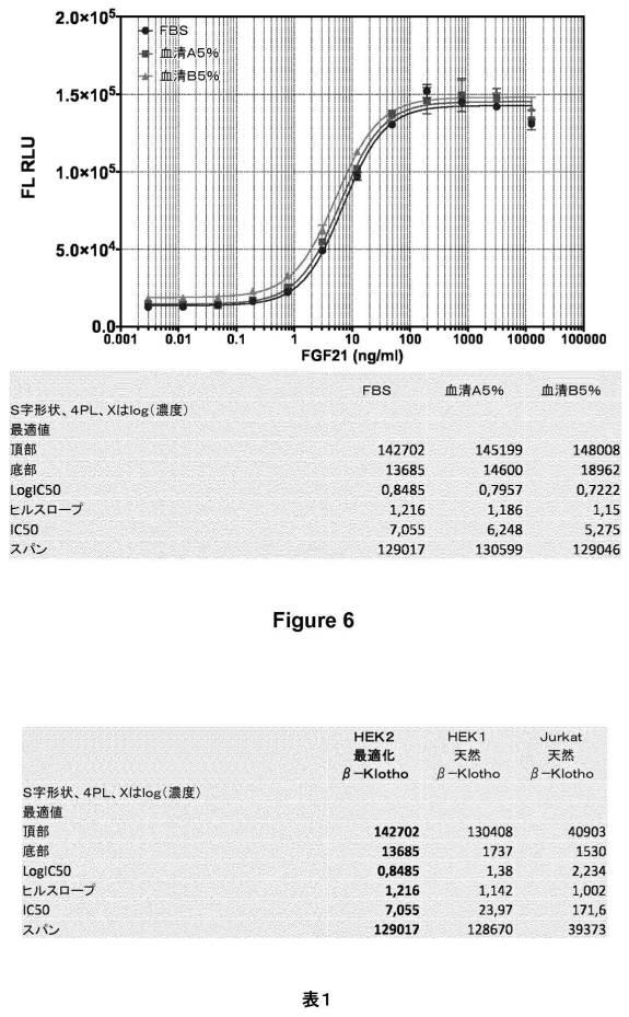 6808842-ＦＧＦ２１応答性レポーター遺伝子細胞株 図000012