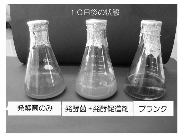 6868283-環境浄化用粉体及びその製造方法、並びに環境浄化用成形物 図000012