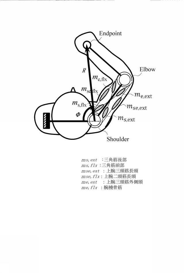 6883741-運動解析装置 図000012