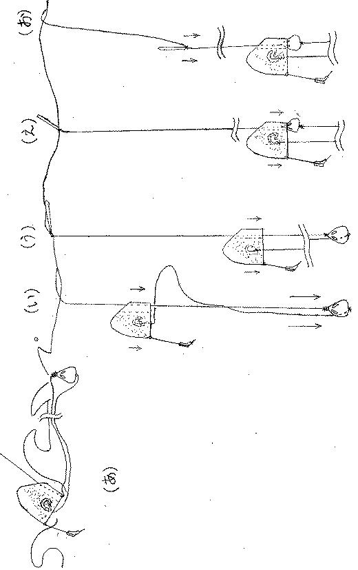 6884493-底蓋を有するフカセカゴを用いた釣り具及び釣り方 図000012