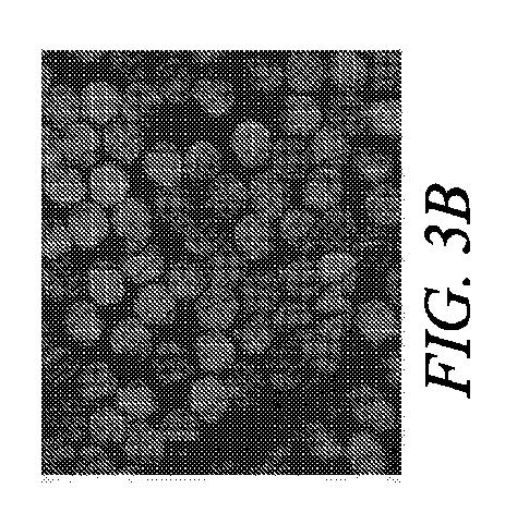 6927979-高速紡糸用途のための二重末端ポリアミド 図000012