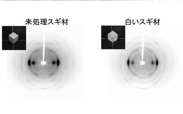 6941328-木材及び木材の製造方法 図000012