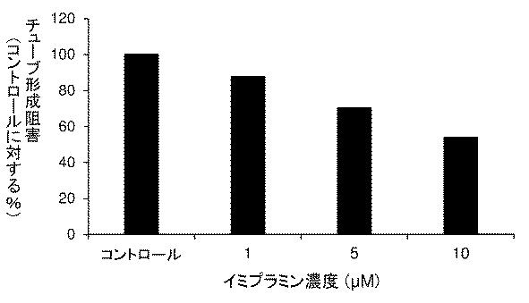 6952980-血管新生阻害薬 図000012