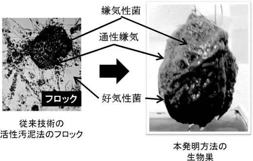 6977961-水質浄化システム 図000012