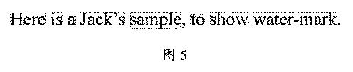 5669957-西洋語の透かし処理をするための透かし画像の分割方法と装置 図000013