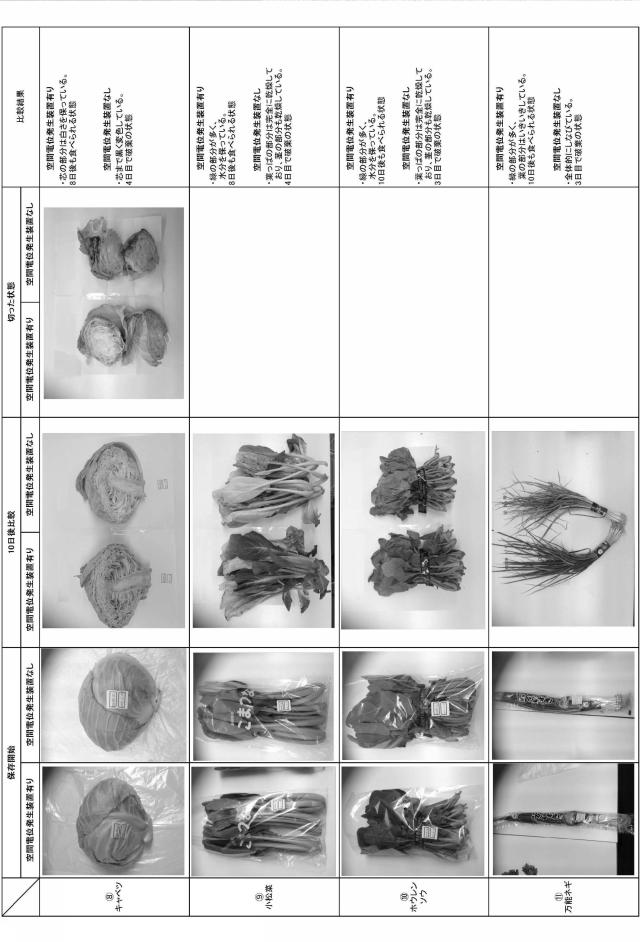 5683032-空間電位発生装置を利用した鮮度保持装置 図000013