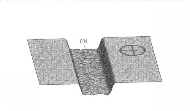 5694626-構造の３次元粗さを測定する方法 図000013