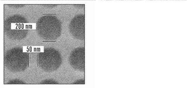 5717653-生物医学的用途およびバイオフォトニック用途のための絹フィブロイン構造体のナノインプリンティングの方法 図000013