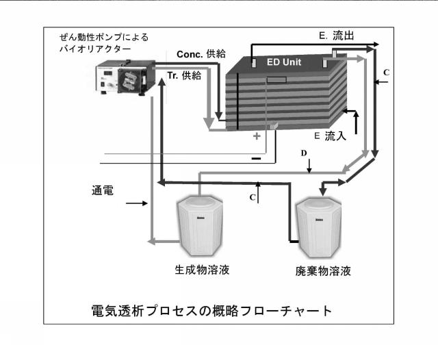 5769715-ＫＡＰＰＡＰＨＹＣＵＳＡＬＶＡＲＥＺＩＩ（カラギナン原藻）から抽出したエタノール及び海藻樹液の統合生産プロセス 図000013