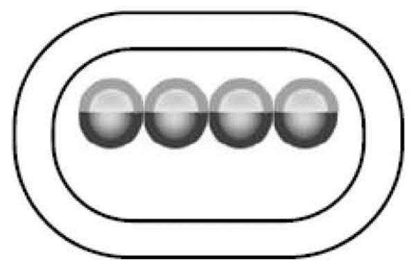 5868844-再生歯ユニットの製造方法 図000013