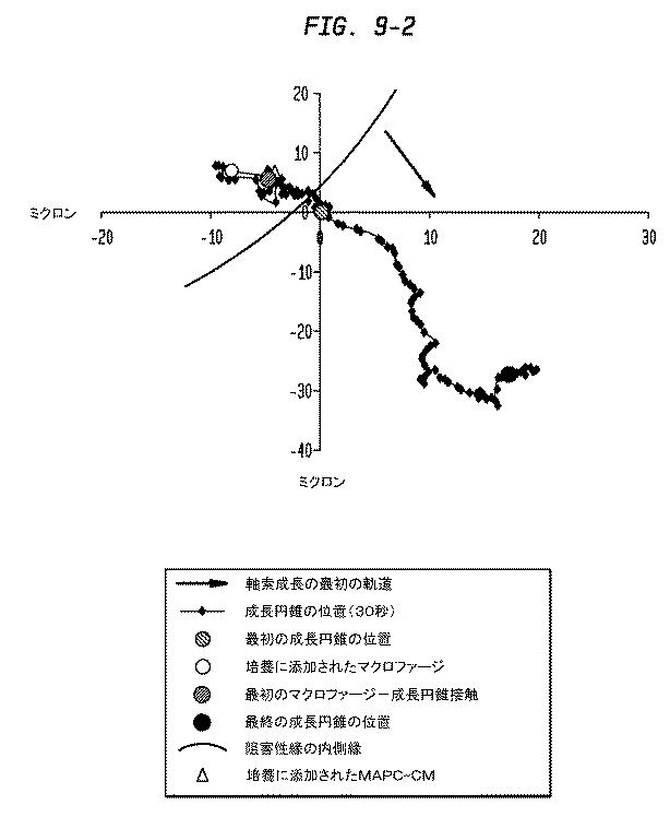 5933623-ニューロンの軸索退縮を予防するための幹細胞の使用 図000013