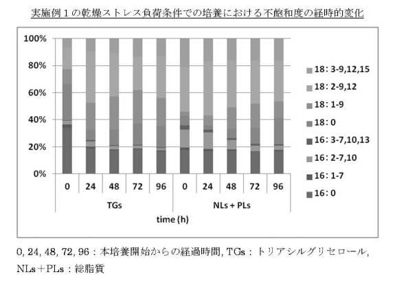 5943361-トリアシルグリセロールの製造方法 図000013