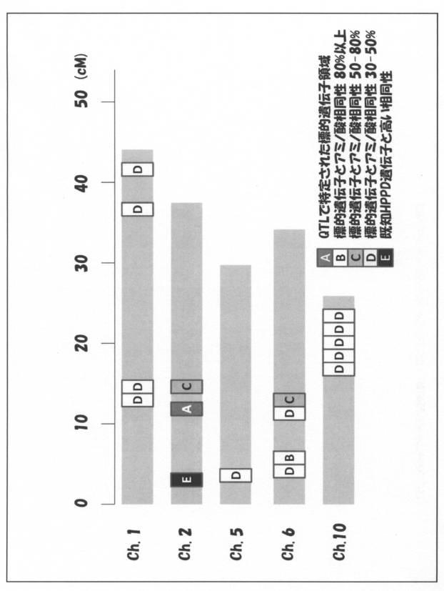 5977605-４−ＨＰＰＤ阻害剤に対する感受性を判定する方法 図000013