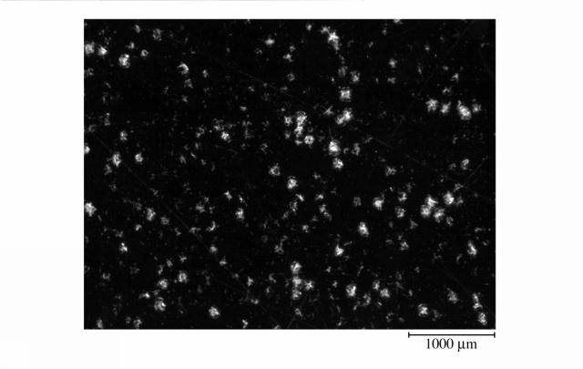 5986332-微多孔プラスチックフィルム 図000013