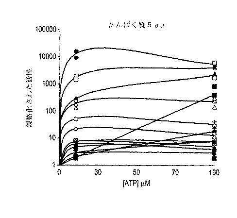 6005651-トランスフェラーゼの活性同定方法 図000013