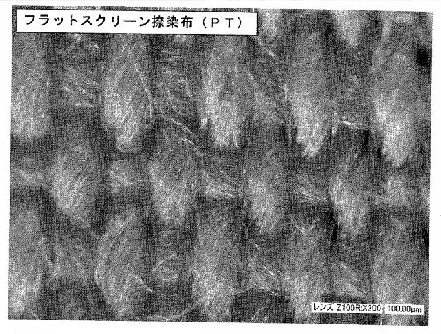 6025633-インクジェット捺染用インクセット及びインクジェット捺染方法 図000013