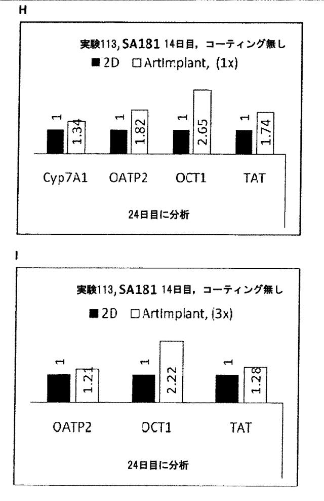 6025715-多能性幹細胞の肝細胞への分化を向上する三次元スキャホールド 図000013