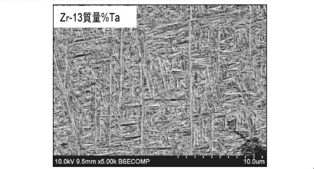 6041045-生体用ジルコニウム合金およびそれを用いた骨固定具 図000013
