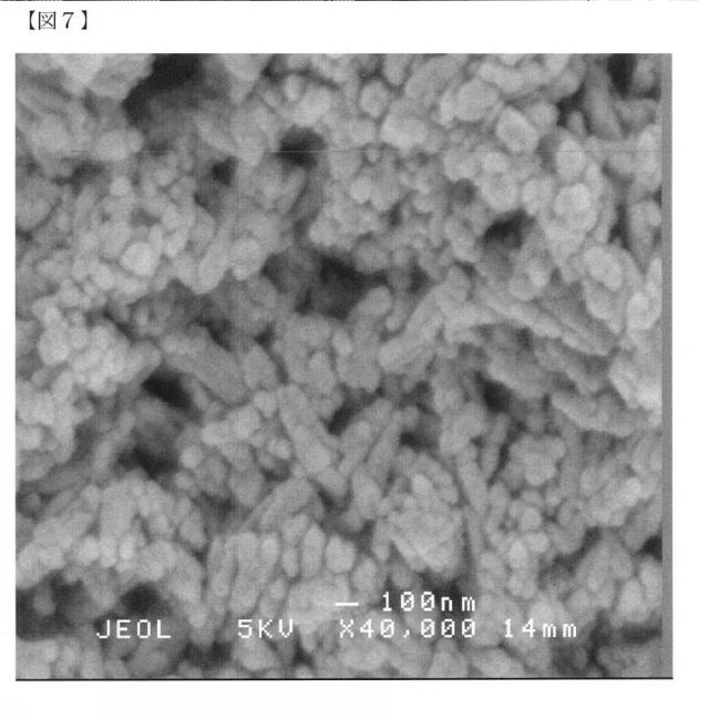 6072967-リン酸カルシウム焼結体粒子の製造方法 図000013